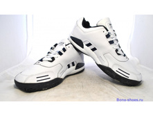 Phoca thumb l 1511 33.jpg