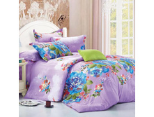 ���������� ����� ��� 1,5 ������ Domus ���. D� 87. ���� 756 ���