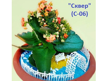 �-06 �����_320+%