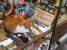 �����, � ������� �� ���, �� ���������!