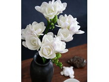 ������ �������� ����� ���. ����2.jpg