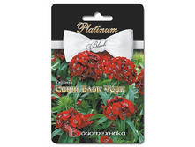 �������� ���� ���� ����. 8 ��. 56 ���.jpg