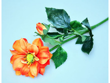 �������� 42223-18 250�.JPG