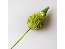 �������� �������, 9165 128�.jpg