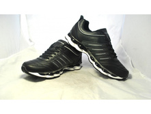 Phoca thumb l 1731 13.jpg