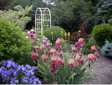 ���� �������� ���. ����.jpg