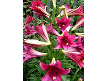 ����� ����� ���. ����.jpg