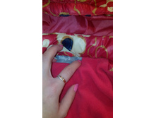 IMG 20160102 180448.jpg