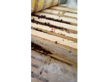 IMG 20151227 130752.jpg