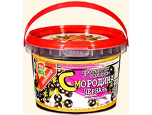 ������ ���������