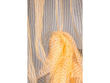 ������� ������.jpeg