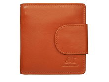 �������� - ����̣� ������� 3036 orange - 1200 ���.