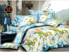 ����-����� TN-13.jpg