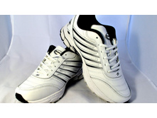 Phoca thumb l 1826 1.jpg