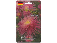 ����� ��������� ����� ������� ������ �������. 30 ��. 22 ���.jpg