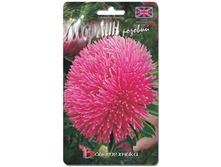 ����� ��������� c���� ������ �������. 70 ��. 14 ���.jpg