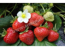 ��������� ������� �������.jpg