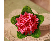 ����� ����� - 300 ���.