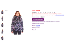 53107 ������.png