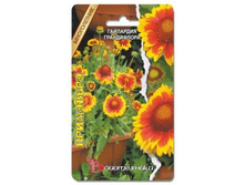 ��������� ����������� ���������. 8 ��. 20 ���.jpg