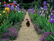 ����� � ����9.jpg