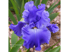 Moscova-10,97 ������� 2015.jpg