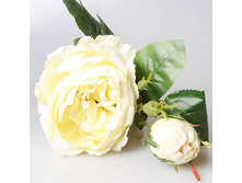 ���� ����������� �����, 3-568 190�.jpg