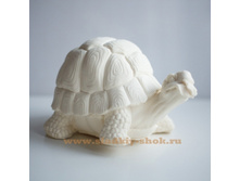 ���������� ������ "��������", ���. 13-007�