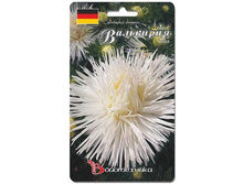 ����� ��������� ��������� ������ �����. 100 ��. 16 ���.jpg