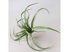 ��������� 42303-3 150�.jpg