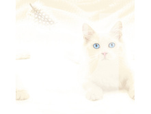 ����� - ��������� 657