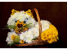 �������-006