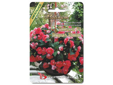 ��������� ������� �������� ��������� ����� F1 ����� ����. 8 ��. 56 ���.jpg