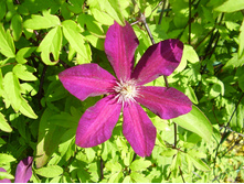 ��������� (13).JPG