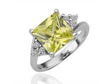 300� ������ XPLRP031