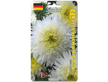 ����� ��������� ����� ���������� ���� �����. 40 ��. 20 ���.jpg