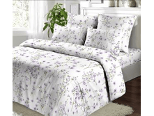 ��� ����6.png