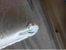 ���� ������ 2.jpg