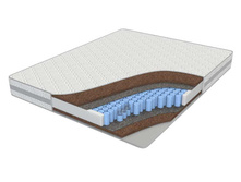 ������ ������