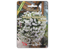 ������� ��������� F1 ����� ������ ����. 5 ��. 85 ���.jpg