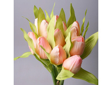 ����� ��������� ������-������� �� 9-�� ��, ���. 5568-2 175�