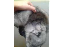 2016-01-08 18.06.34.jpg