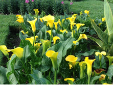 ����� � ����7.JPG