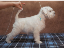 1 �����.JPG