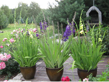 ���������� � ����5.jpg