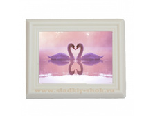 ���������� �������� "������" ��� ������" 80�� � 100��, ���. ���-015�