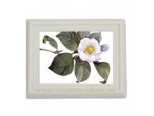 ���������� �������� "������" 80�� � 100��, ���. ���-027�