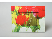 ��������� ������� �������� 17513 199�.jpg