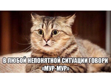 � ����� ���������� �������� ������ ���-���