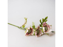 ������ ������ ����������, 9129 85� ����� ���� 65�